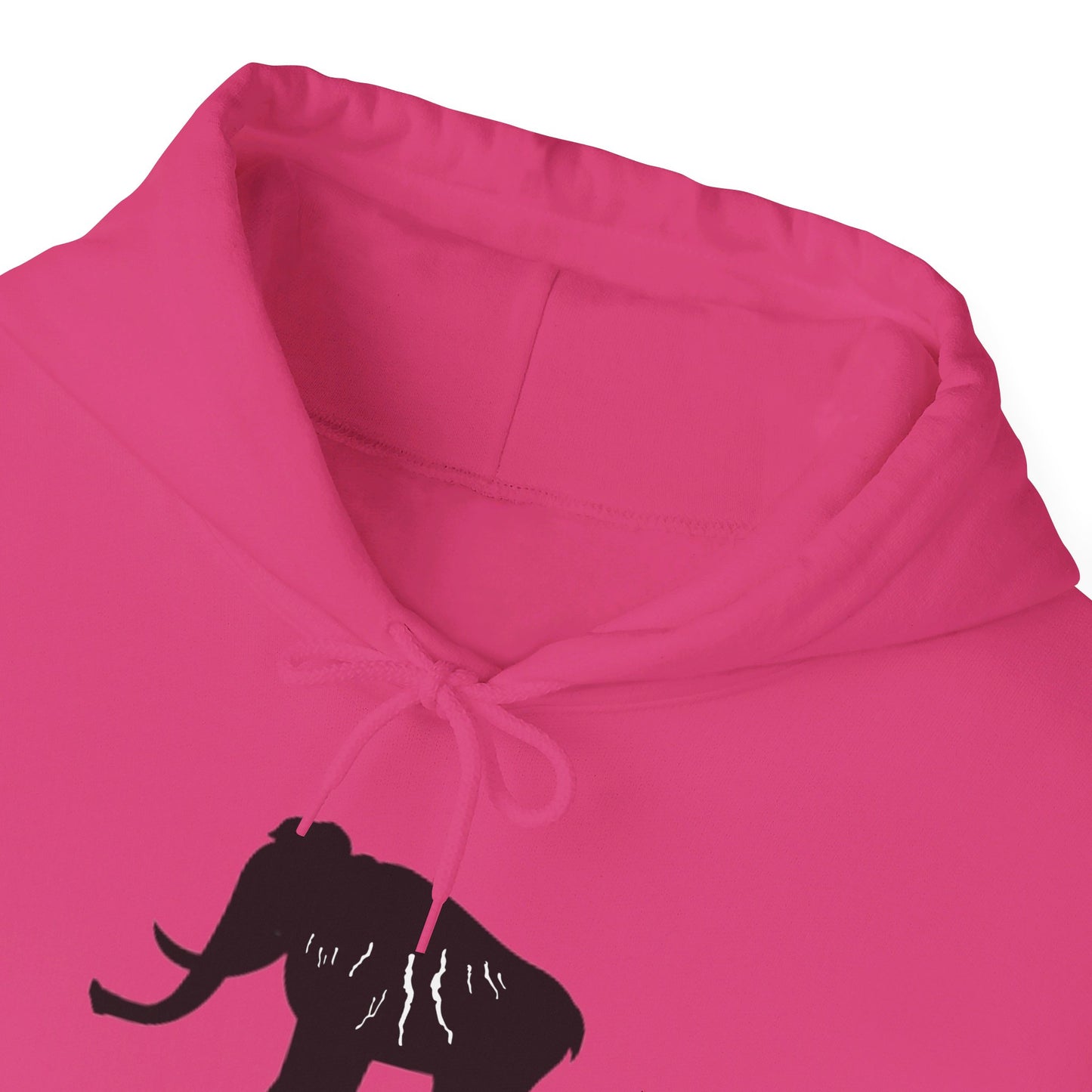 Finger Lakes Ice Age Hooded Sweatshirt (Online exclusive)