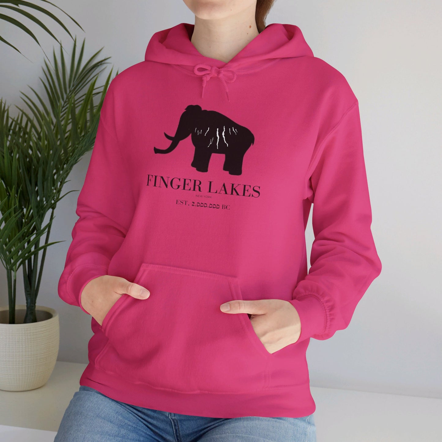Finger Lakes Ice Age Hooded Sweatshirt (Online exclusive)