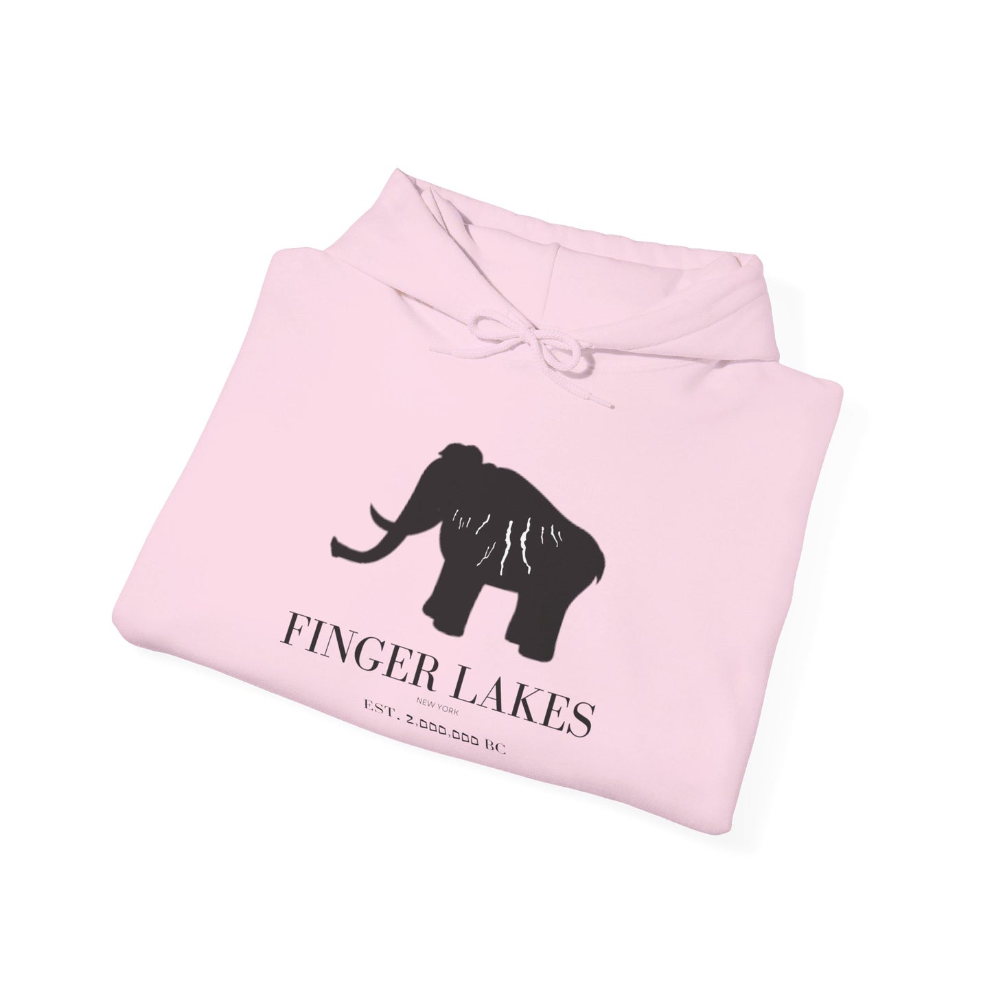 Finger Lakes Ice Age Hooded Sweatshirt (Online exclusive)