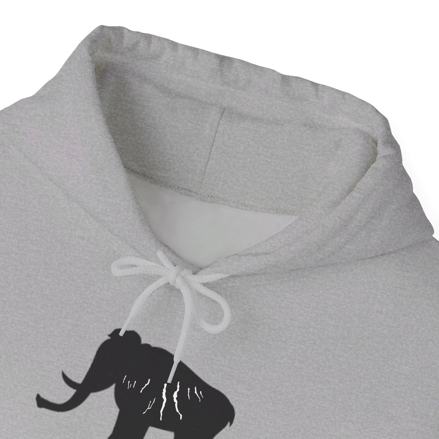 Finger Lakes Ice Age Hooded Sweatshirt (Online exclusive)