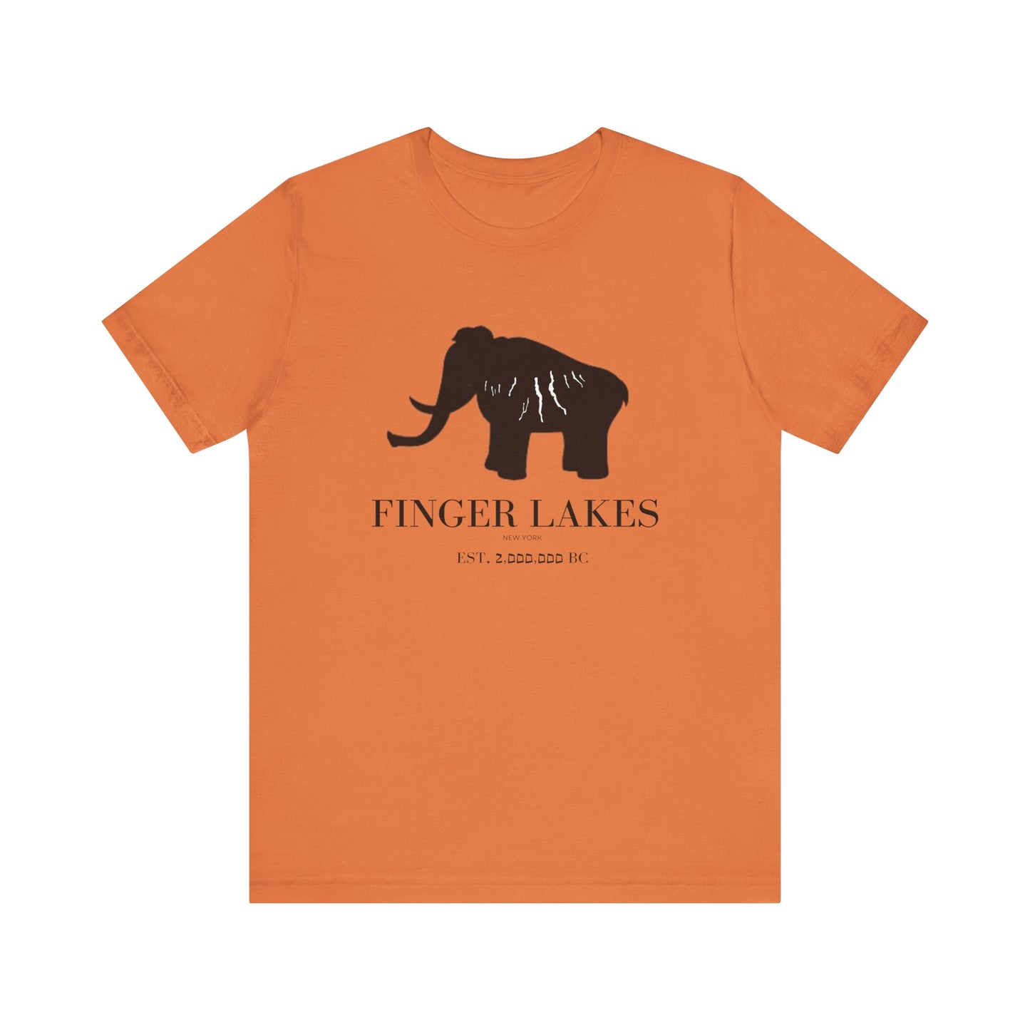 Finger Lakes Ice Age T-Shirt