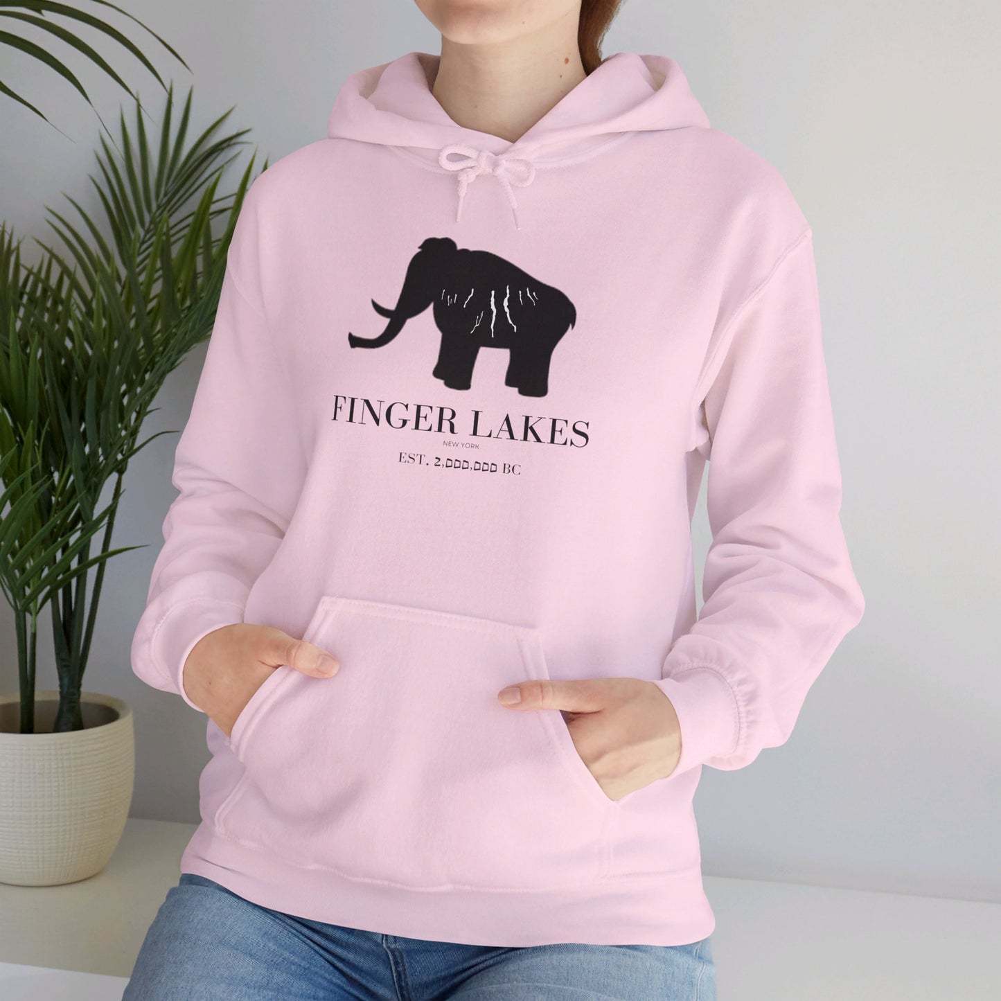 Finger Lakes Ice Age Hooded Sweatshirt (Online exclusive)