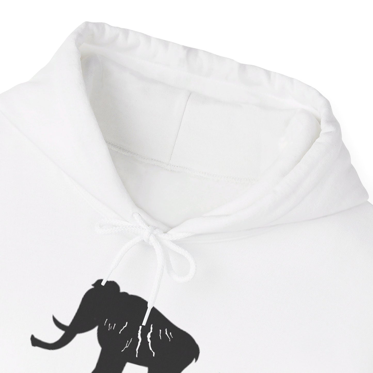 Finger Lakes Ice Age Hooded Sweatshirt (Online exclusive)
