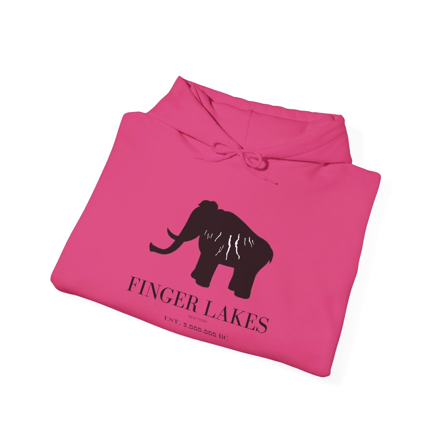 Finger Lakes Ice Age Hooded Sweatshirt (Online exclusive)