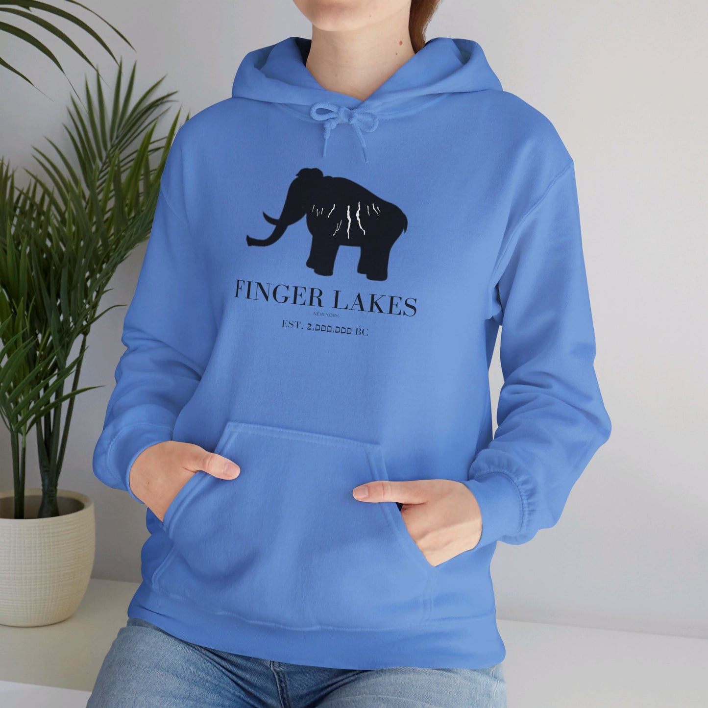 Finger Lakes Ice Age Hooded Sweatshirt (Online exclusive)