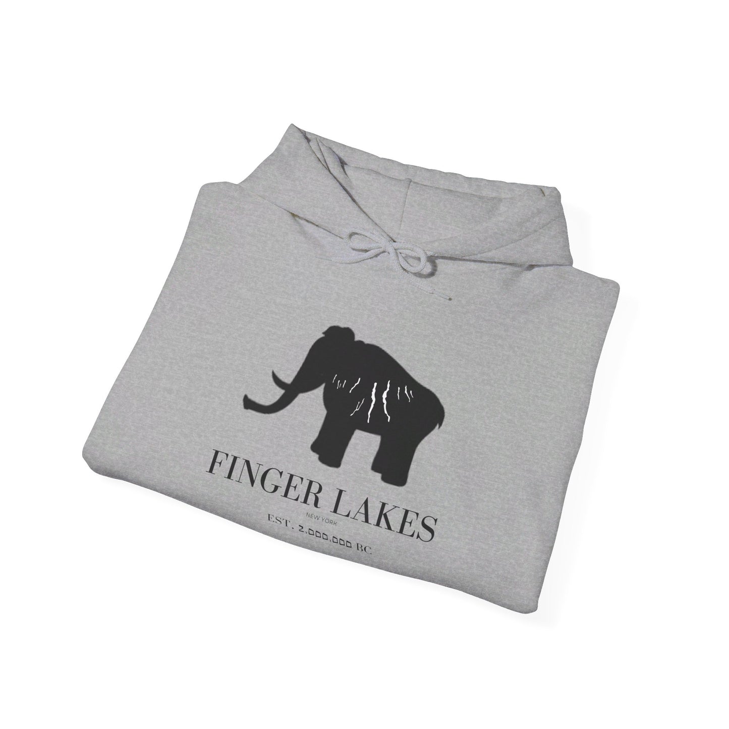 Finger Lakes Ice Age Hooded Sweatshirt (Online exclusive)