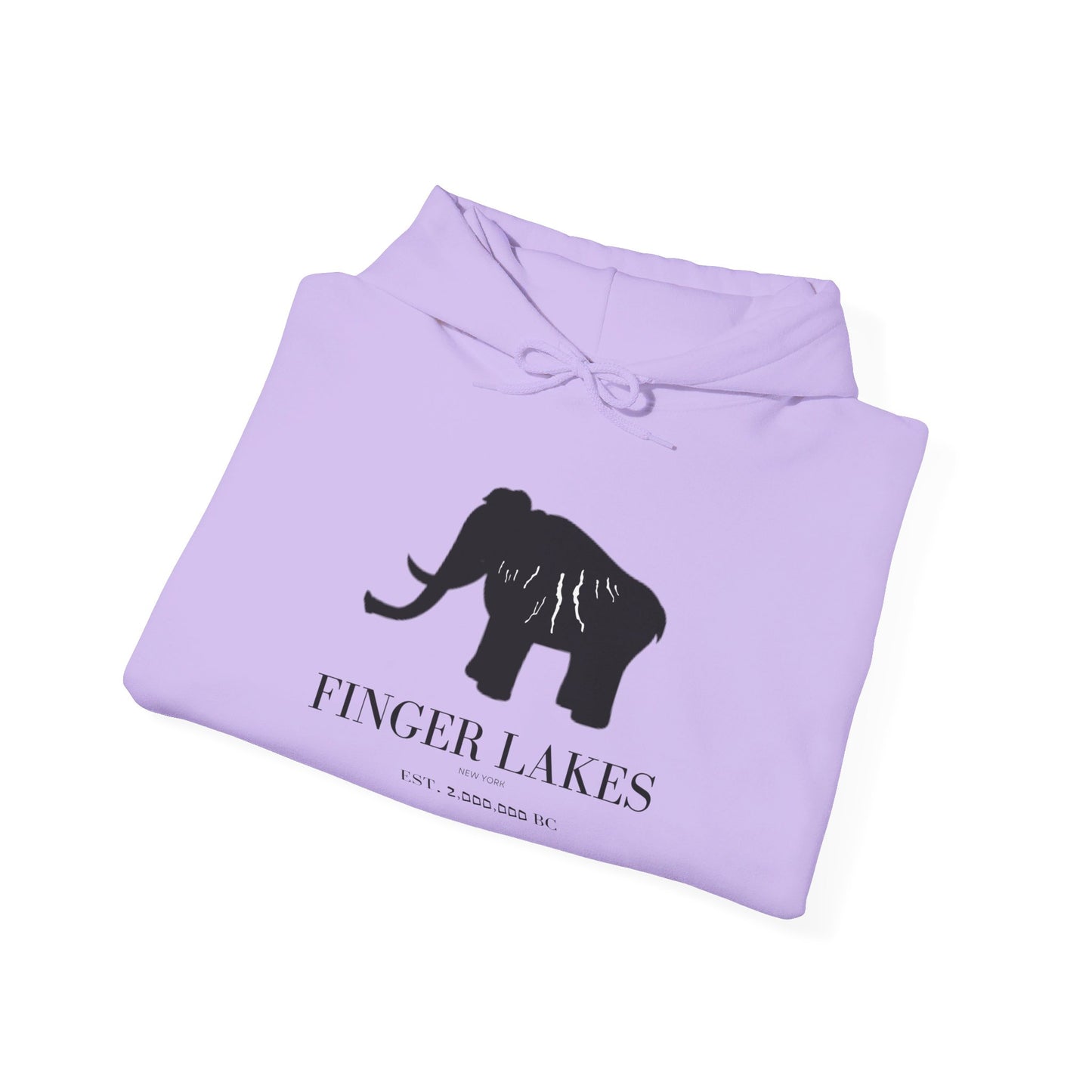 Finger Lakes Ice Age Hooded Sweatshirt (Online exclusive)