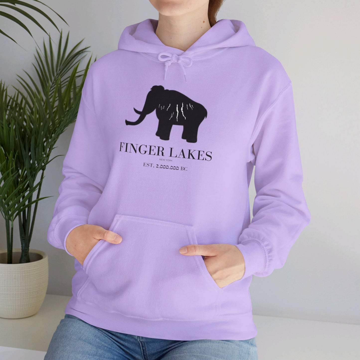 Finger Lakes Ice Age Hooded Sweatshirt (Online exclusive)