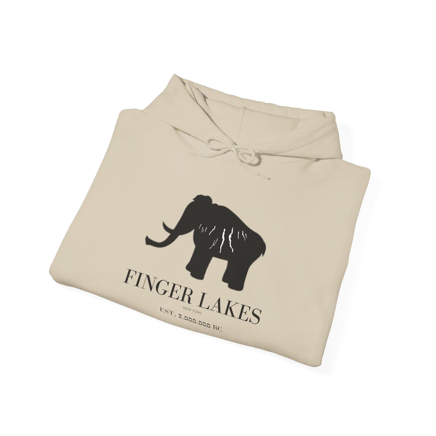 Finger Lakes Ice Age Hooded Sweatshirt (Online exclusive)