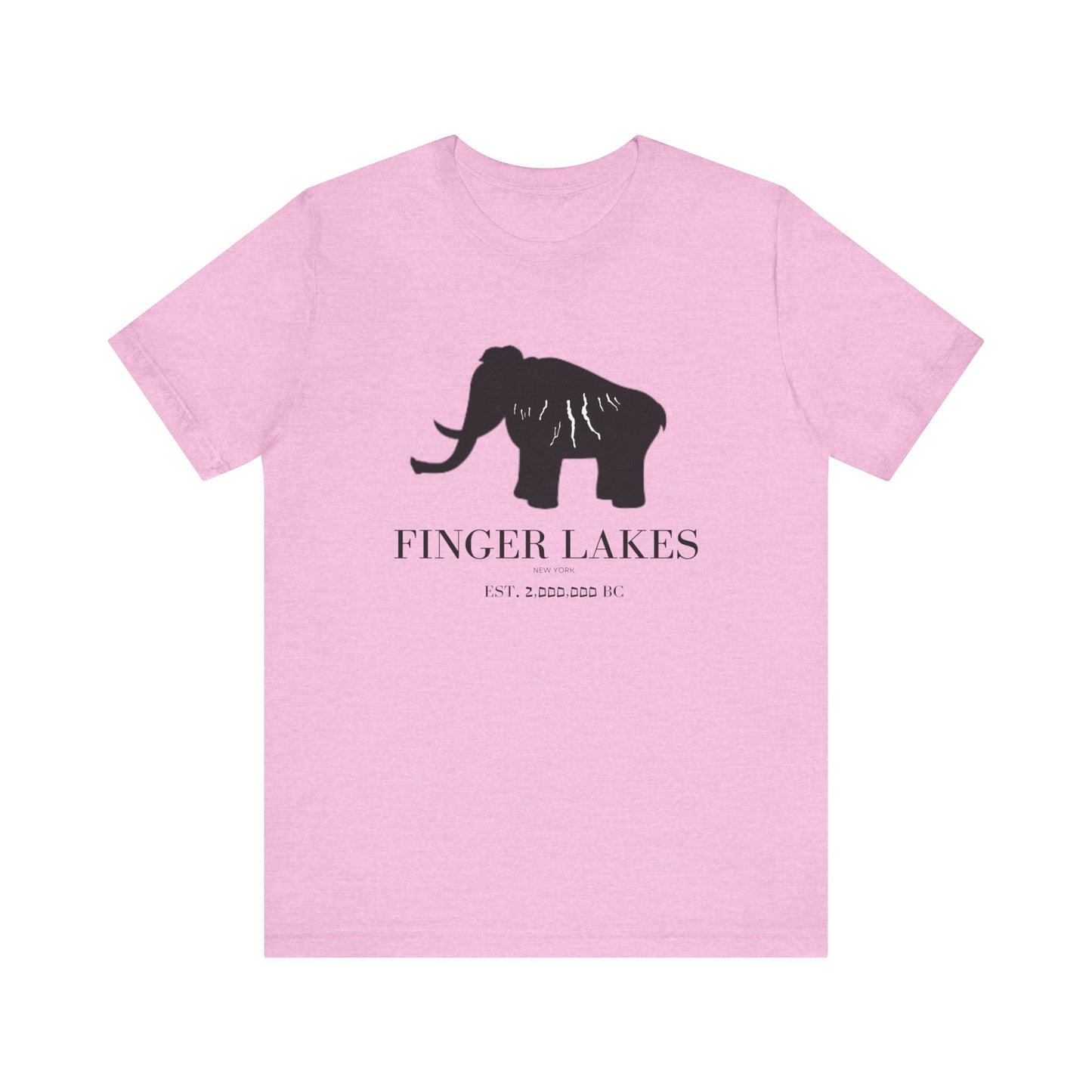 Finger Lakes Ice Age T-Shirt
