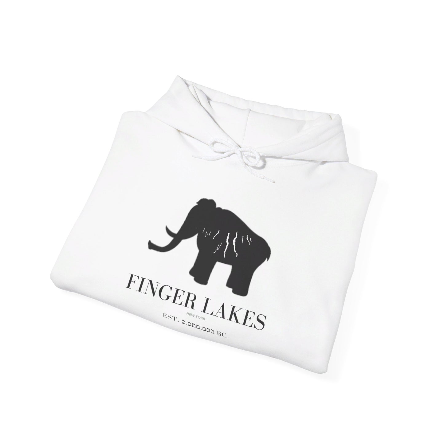 Finger Lakes Ice Age Hooded Sweatshirt (Online exclusive)