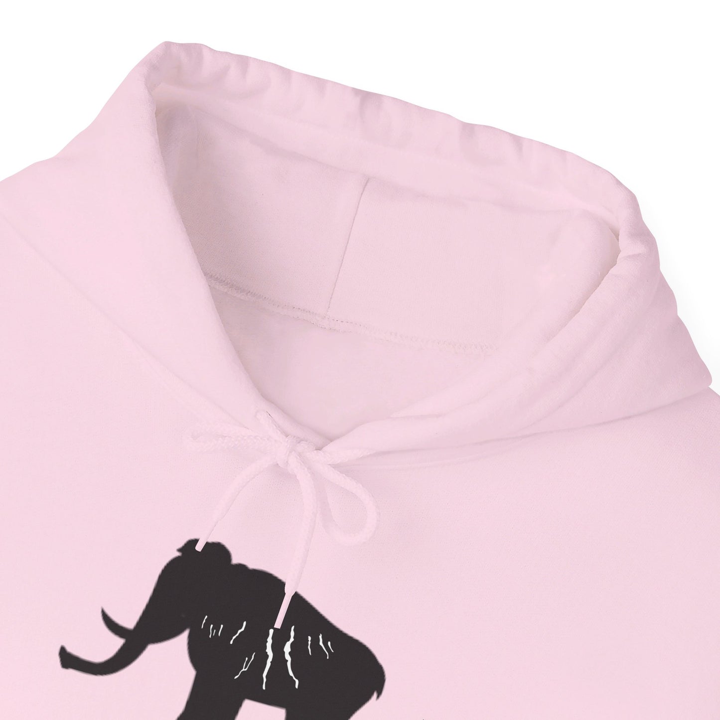 Finger Lakes Ice Age Hooded Sweatshirt (Online exclusive)