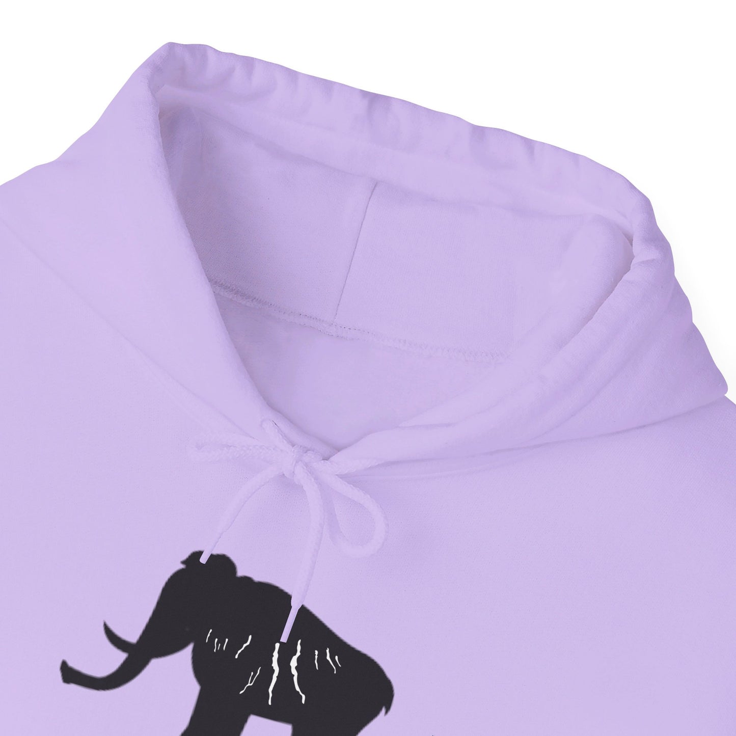 Finger Lakes Ice Age Hooded Sweatshirt (Online exclusive)
