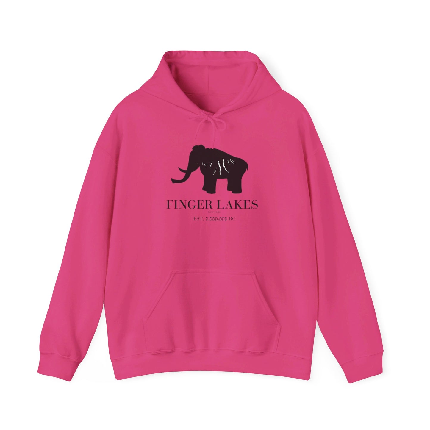Finger Lakes Ice Age Hooded Sweatshirt (Online exclusive)