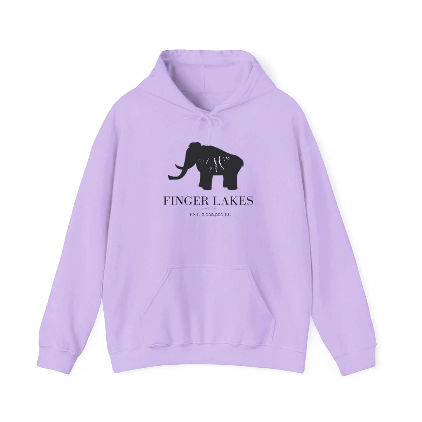 Finger Lakes Ice Age Hooded Sweatshirt (Online exclusive)