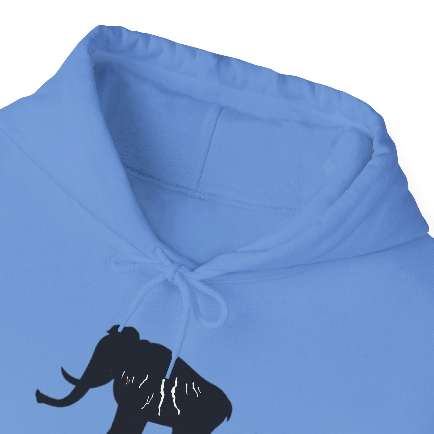 Finger Lakes Ice Age Hooded Sweatshirt (Online exclusive)