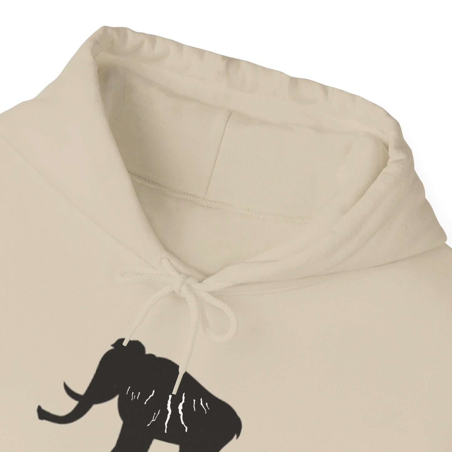 Finger Lakes Ice Age Hooded Sweatshirt (Online exclusive)