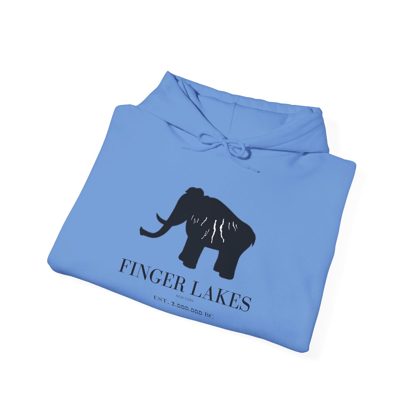 Finger Lakes Ice Age Hooded Sweatshirt (Online exclusive)