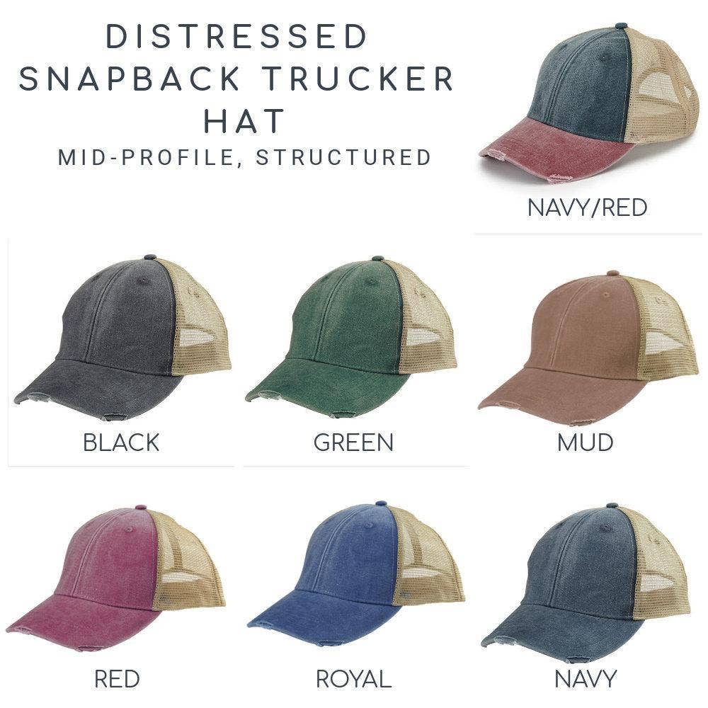 Finger Lakes Hat - Distressed Snapback hat - NY