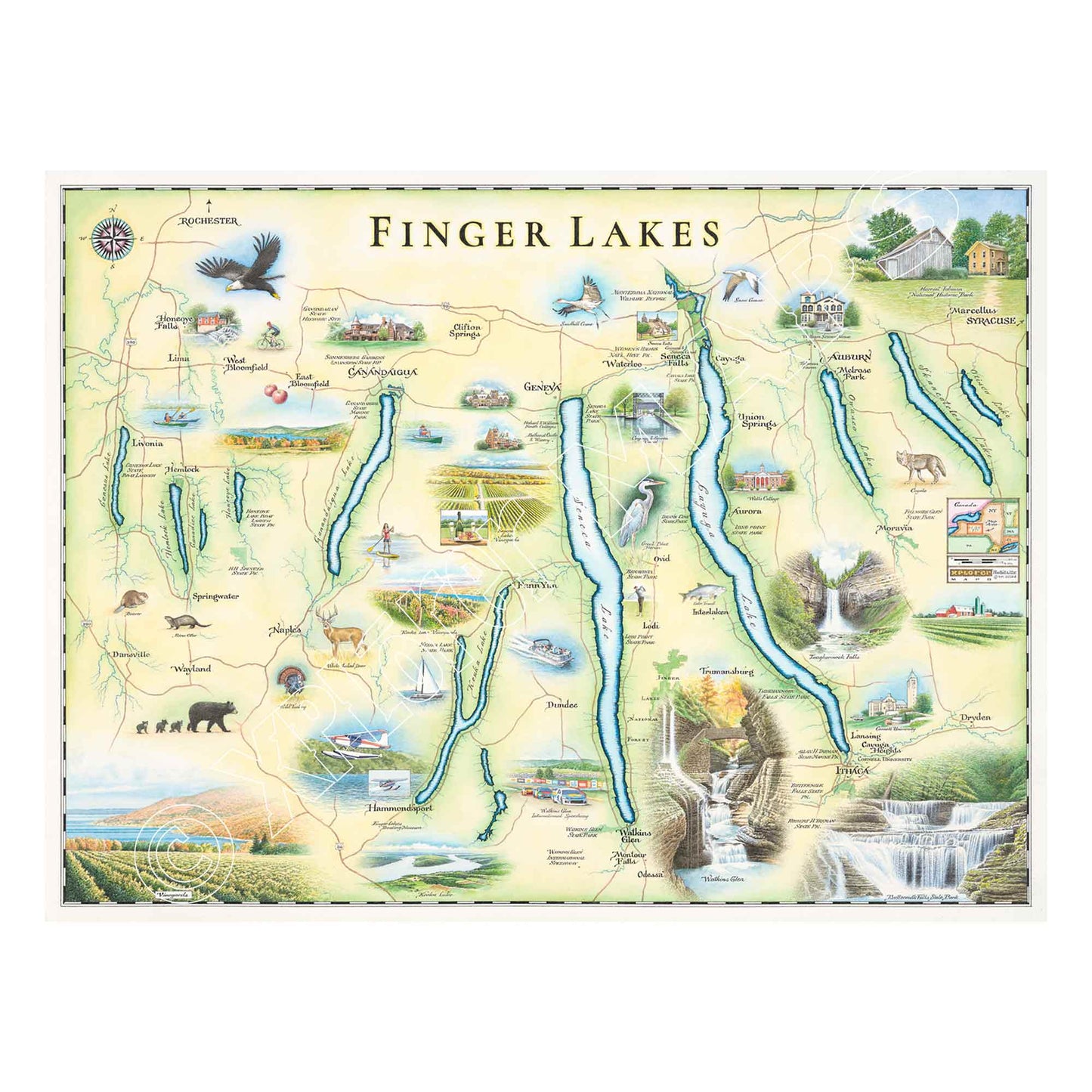 Finger Lakes, New York Hand-Drawn Map