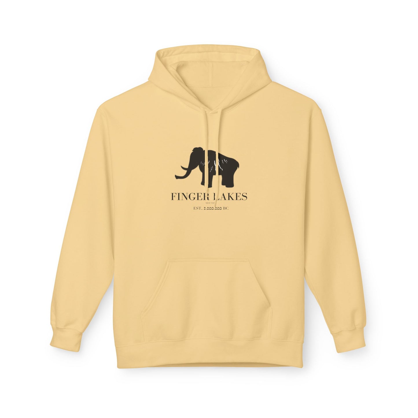 Finger Lakes Bear Hoodie — Minimal Black Bear Graphic Sweatshirt