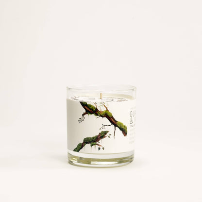 Guaiac Wood & Moss - Medium Glass