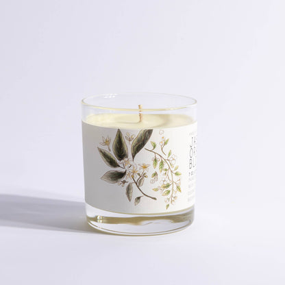 Jasmine & Orange Blossom - Medium Glass