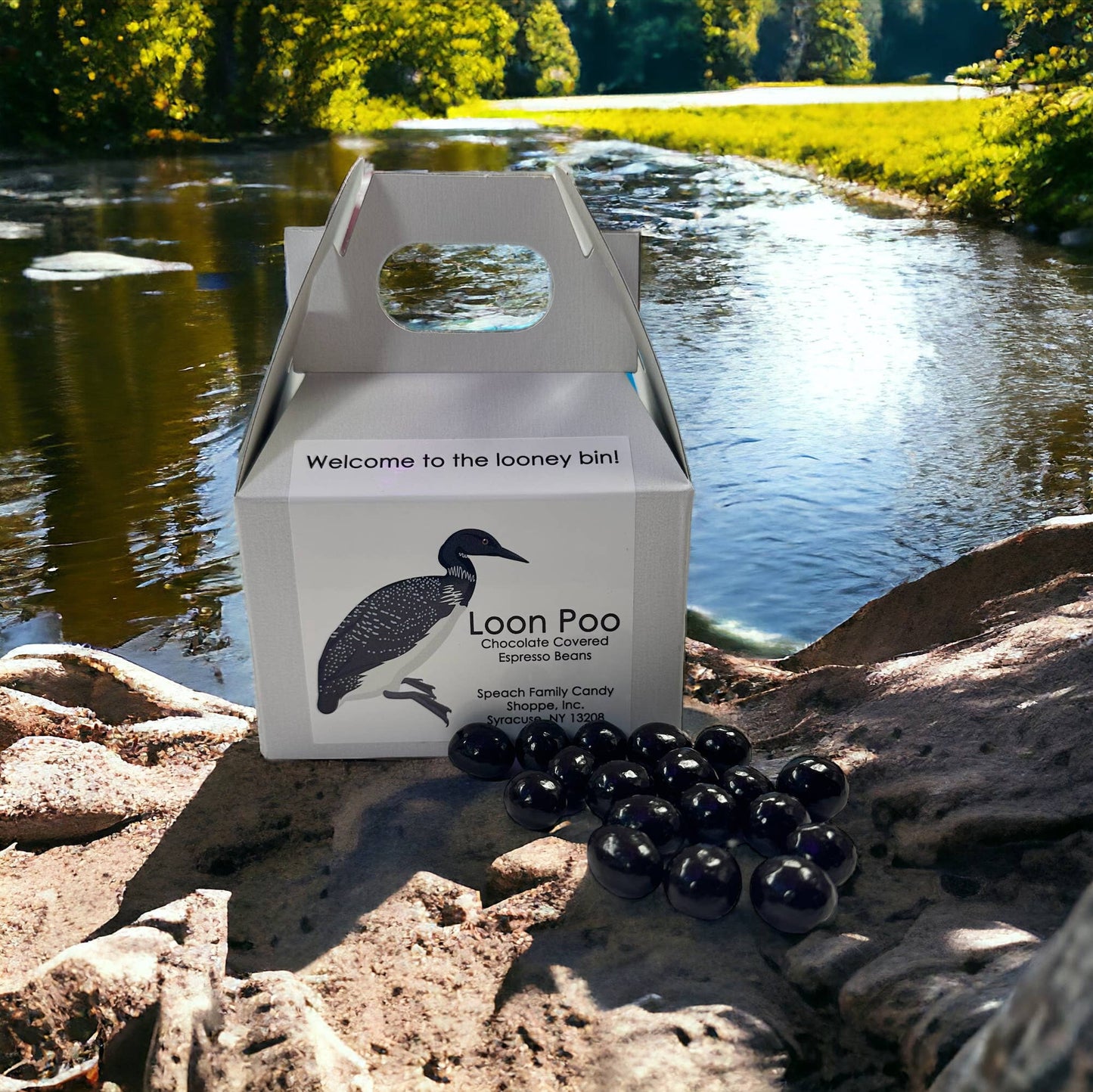Loon Poo - Chocolate Covered Espresso Beans