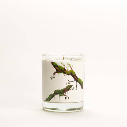 Guaiac Wood & Moss - Medium Glass